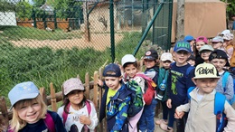 Zobrazit » Školní výlet do ZOO Plzeň